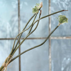 Artificial Allium Bundle