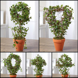Potted Artificial Ivy and Grapevine Plant