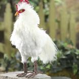 Realistic Artificial Rooster