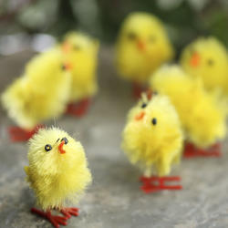 Miniature Chenille Chicks