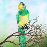Tropical Green Artificial Macaw Parrot