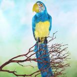 Tropical Blue Artificial Macaw Parrot