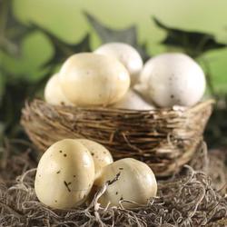 Speckled White and Cream Artificial Eggs
