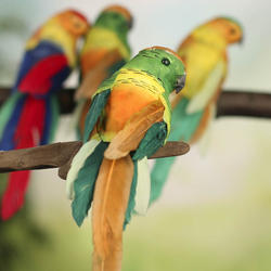 Colorful Artificial Parrots