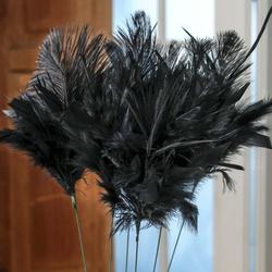 Black Ostrich Feather Sprays