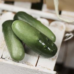 Dollhouse Miniature Cucumbers