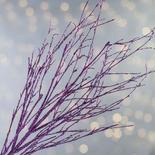 Fuchsia Glittered Artificial Twig Spray