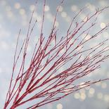 Red Glittered Artificial Twig Spray