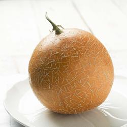 Realistic Artificial Cantaloupe Melon Winward Floral