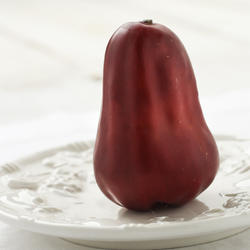 Realistic Artificial Bell Fruit from Winward Floral