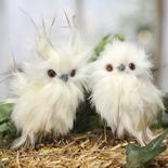 Small Fluffy Snowy Owl Friends