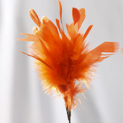 Orange Fuzzy Feather Sprays