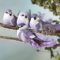 Purple Ombre Barred Feather Mushroom Birds