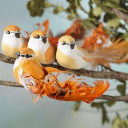 Orange Ombre Barred Feather Mushroom Birds