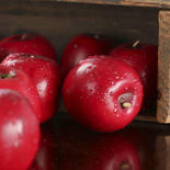 Dewy Red Artificial Apples