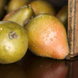 Dozen Dewy Artificial Pears