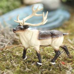 Miniature Buck Reindeer