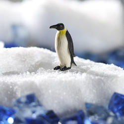 Miniature Emperor Penguin