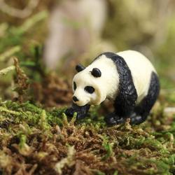 Miniature Panda Bear