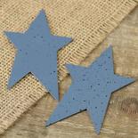 Primitive Cadet Blue Speckled Tin Stars