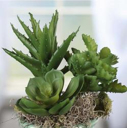 Assorted Artificial Succulents