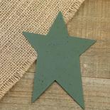Primitive Green Speckled Tin Star