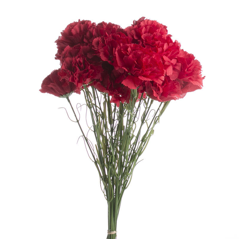 Red Artificial Carnation Stems - Picks and Stems - Floral Supplies ...