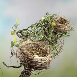Artificial Brown Wood Twig Branches with Bird Nest