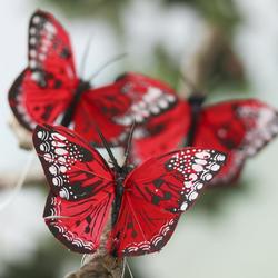 Red Artificial Monarch Butterflies
