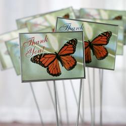 Butterfly "Thank You" Picks
