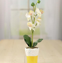 Cream Artificial Vanda Orchid Planter