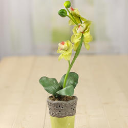 Green Artificial Vanda Orchid Planter
