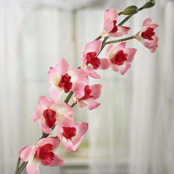 Pink Artificial Cymbidium Orchid Stem