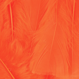 Orange Natural Loose Turkey Marabou Feathers