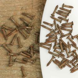 Tiny Primitive Rusty Tin Nails