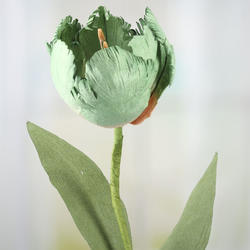 Dried Artificial Tulip Stem