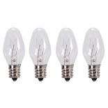 Clear Glass Candelabra Base Light Bulbs