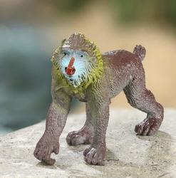 Miniature Mandrill Baboon