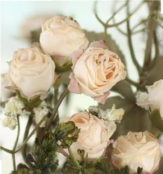 Small Pale Pink Artificial Dried Antique Rose Bush