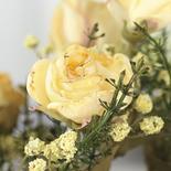 Soft Yellow Artificial Dried Antique Rose Bush