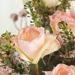 Cream Pink Artificial Dried Antique Rose Bush