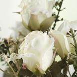 White Artificial Dried Antique Rose Bush