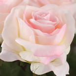 Artificial Long Stem Cream Pink Open Roses