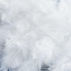 White Loose Marabou Natural Feathers