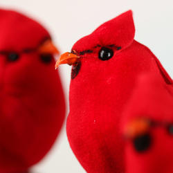 Flocked Red Cardinal Birds