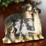 Small Bernese Mountain Dog Magnet Picture Frame