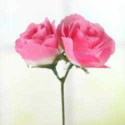Ultra Pink Artificial Rose Pick