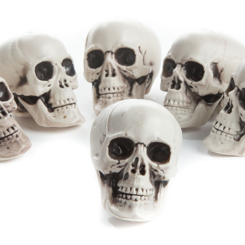Plastic Skeleton Skulls Factory Direct Craft