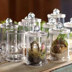 Miniature Clear Apothecary Jars