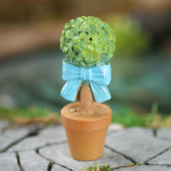 Miniature Topiary Plant